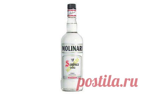 &#171;Самбука&#187;, описание, фотография и лучшие рецепты на сайте &#171;Афиша-Еда&#187;