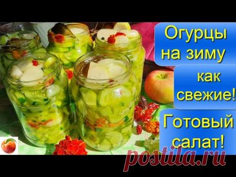 Солим большие огурцы на зиму Как свежие  Готовый вкусный салат Мамин рецепт Cucumbers for winter!