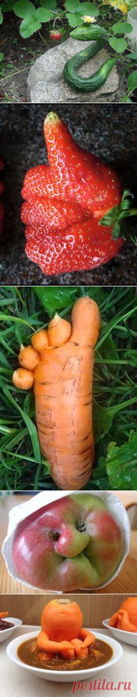 Ну не могу этим не поделиться с вами..))