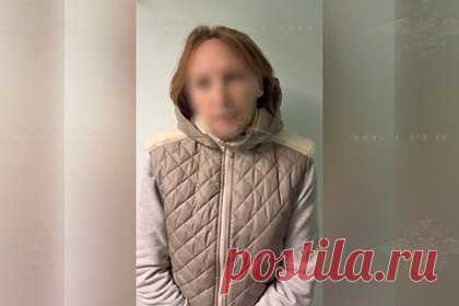 Толкнувшая девочку в московском метро пенсионерка объяснилась