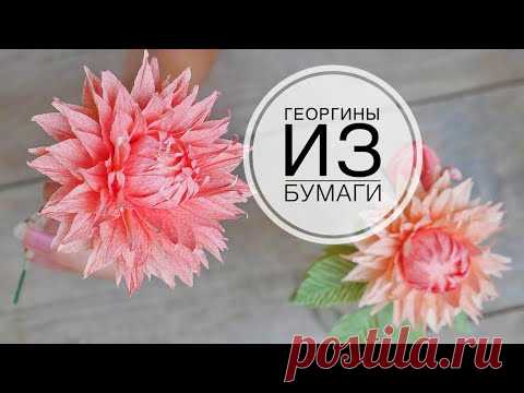 ГЕОРГИНЫ  для букетов / Бумажная флористика / DIY TSVORIC