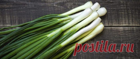 Питание в марте?: продукты, их состав и польза | Food and Health