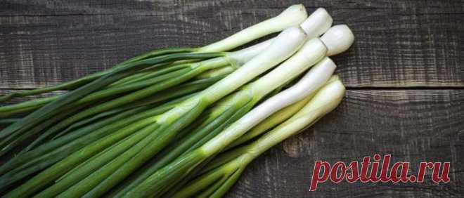 Питание в марте?: продукты, их состав и польза | Food and Health