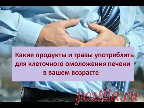 Какие продукты и травы употреблять для клеточного омоложения печени