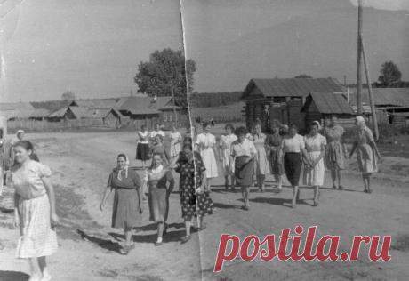 полозов в костромской журналистской организации в 1960-1970 г.: 10 тыс изображений найдено в Яндекс.Картинках