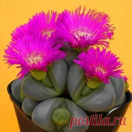 Группы | Facebook