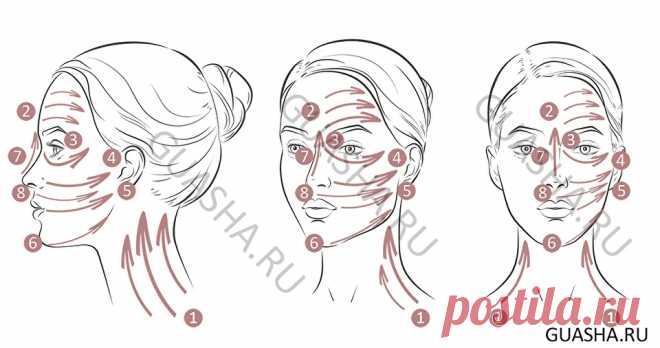 Инструкция массажа Роллером и роликом гуаша. Интернет-магазин Guasha.ru