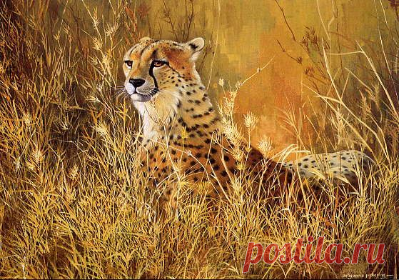 Поллианна Пикеринг - дикая природа Арт-галерея