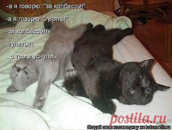 Интересные новости
