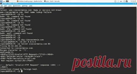 Так вот зачем нужно регулярно перезагружать Wi-Fi роутер! Теперь никаких проблем! | Story