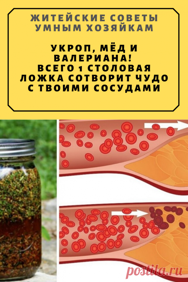 Укроп, мёд и валериана! Всего 1 столовая ложка сотворит чудо с твоими сосудами. | Житейские Советы