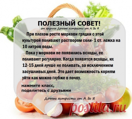 (31) Одноклассники