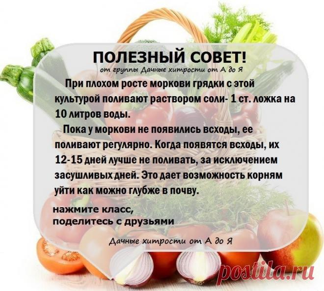 (31) Одноклассники