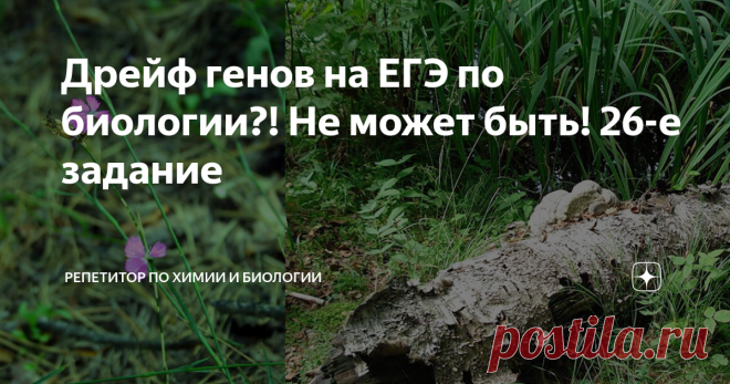 Дрейф генов на ЕГЭ по биологии?! Не может быть! 26-е задание