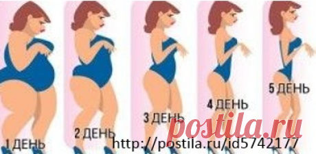 ДИЕТА &quot;ЛЕСЕНКА&quot;