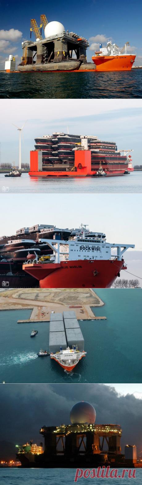 Морской гигант Blue Marlin • НОВОСТИ В ФОТОГРАФИЯХ