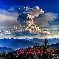 Pinterest