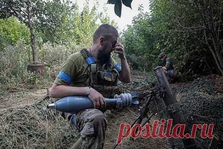 Морпех заявил об участившихся случаях дезертирства ВСУ в Курской области