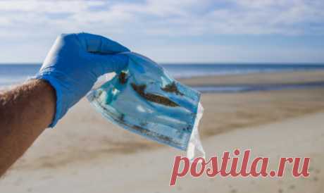 Петербургский пульмонолог: После ковидной пневмонии необычный «узор» в легких часто принимают за фиброз › Статьи и новости › ДокторПитер.ру