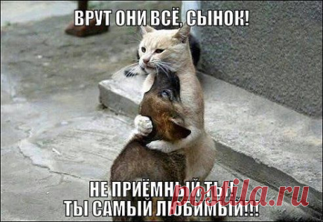 Антонина: ЖИВУ, ЦВЕТУ и ХОРОШЕЮ! О том, что было — не жалею! О том, что будет — не гадаю! А то, что есть — я обожаю!!!