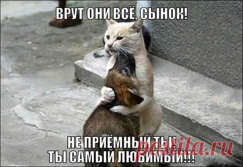 Антонина: ЖИВУ, ЦВЕТУ и ХОРОШЕЮ! О том, что было — не жалею! О том, что будет — не гадаю! А то, что есть — я обожаю!!!