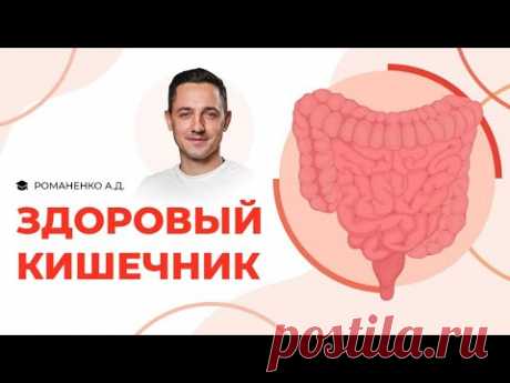 Здоровый кишечник | Романенко А.Д.