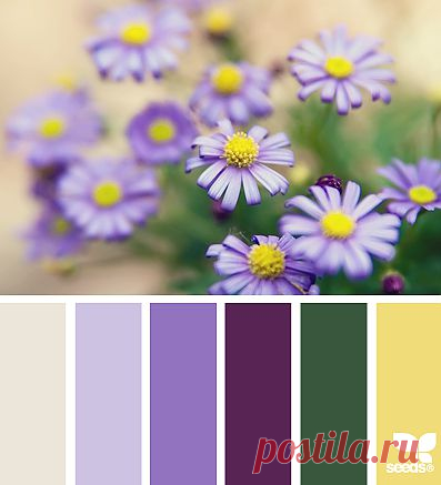 for all who ❤ color | petalled palette