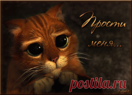 0_f4a76_90f0d0f6_XL.gif (800×577)