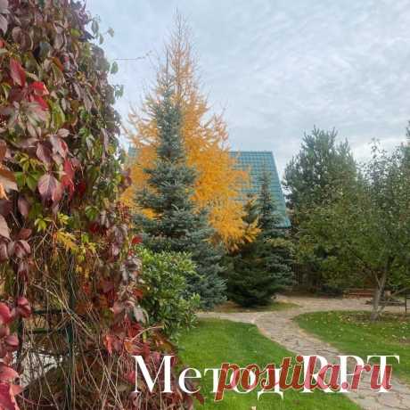 Метод RPT
⠀
Один из методов, которым я работаю, называется RPT.
Аббревиатура расшифровывается двумя вариантами: