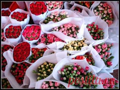 У мечты нет срока годности.