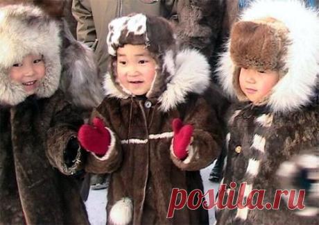 Новости