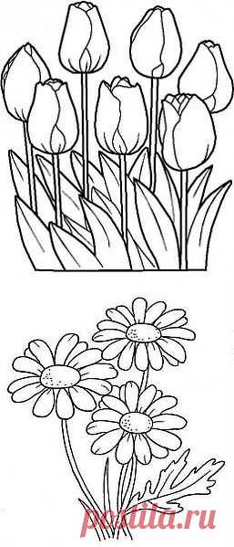 Desenhos de Flores | Painel Criativo