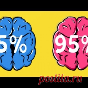 Шесть задач для проверки мозга
