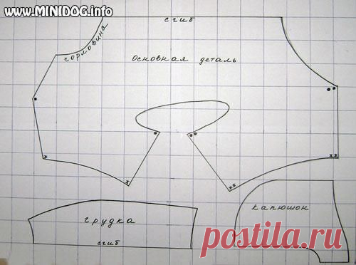 выкройка обуви для той-терьера - 339 картинок. Поиск Mail.Ru