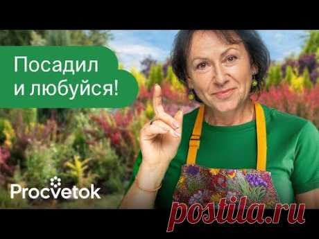 8 РОСКОШНЫХ КУСТАРНИКОВ, КОТОРЫМ ВООБЩЕ НЕ НУЖЕН УХОД!