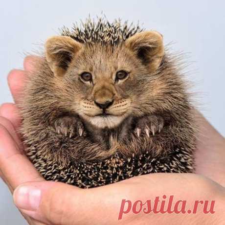 Картинки юмора