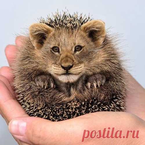 Картинки юмора
