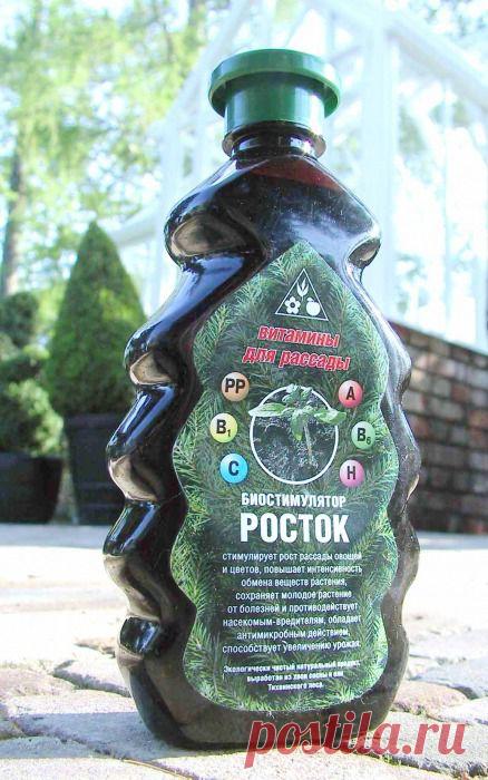 Биостимулятор роста и развития растений «Росток»: Группа Практикум садовода и огородника