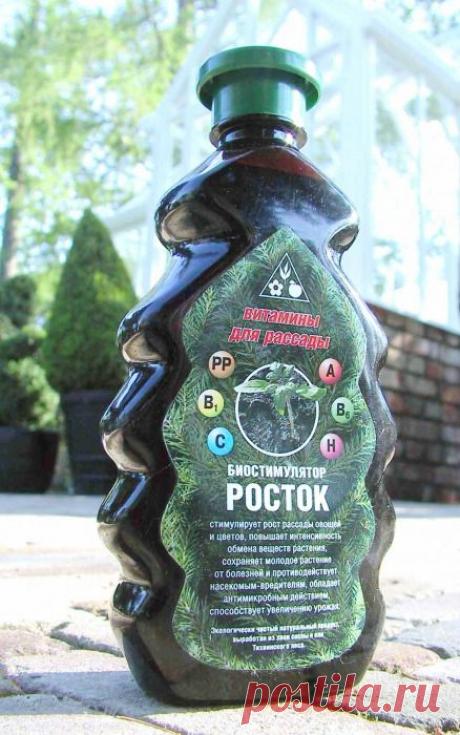 Биостимулятор роста и развития растений «Росток»: Группа Практикум садовода и огородника
