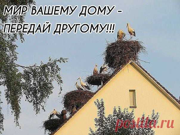 Аппетит от больного бежит, а к здоровому катится.
Аптека не прибавит века. 
Аптекам предаться - деньгами не жаться.
Баня - вторая мать.
Баня - мать наша: кости распаришь, все тело поправишь.
Баня все правит. 
Баня здоровит, разговор веселит.
Баня парит, баня правит.
Береги платье снову, а здоровье смолоду.
Бог бы дал здоровье, а дни впереди.
Болезному сердцу горько и без перцу.
Болезнь входит пудами, а выходит золотниками. 
Болезнь и поросенка не красит.
Болезнь и скотину не красит