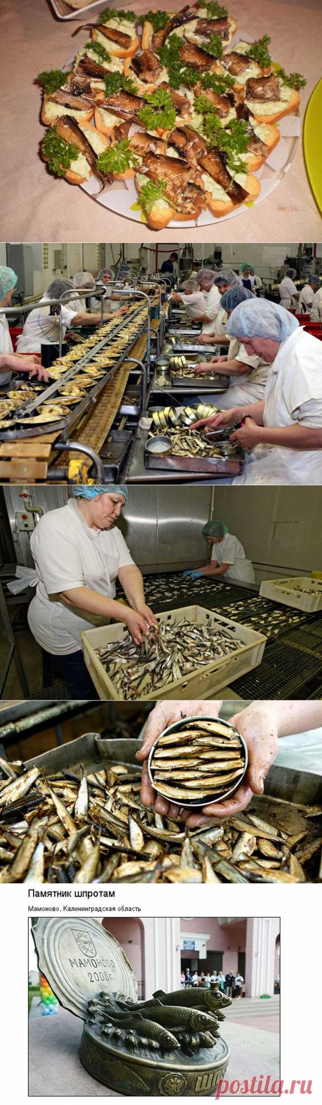 (+1) тема - Немного о шпротах | Полезные советы