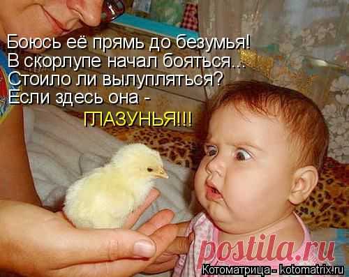 Котоматрица в стихах | Наш дом