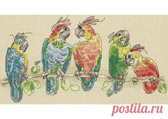 Папагали (вышивание крестом, схема)