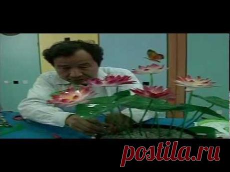 寶特瓶花卉 睡蓮的製作