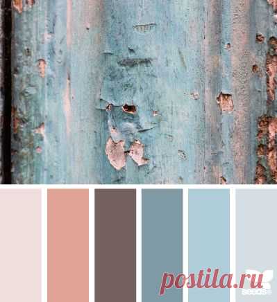 (4) Pinterest: scopri e salva idee creative