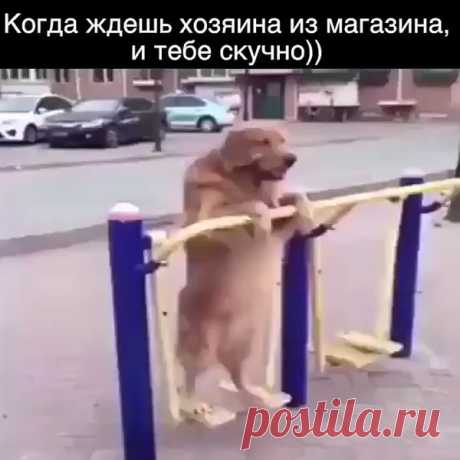 Сегодня пятница! Всем добрым людям - доброго утра! Время потихоньку раскачиваться...