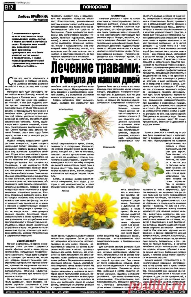 Лечение травами: от Ромула до наших дней