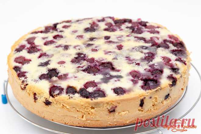 Шарлотка с черникой. Без соды и разрыхлителя | Вкусно и красиво с Натальей Балдук.