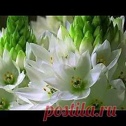 Интересные новости