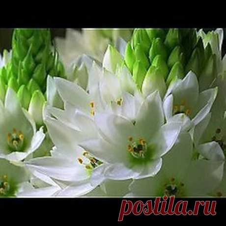 Интересные новости